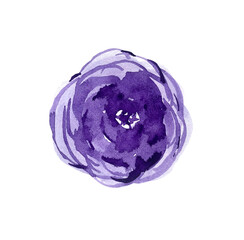 Fototapeta premium Blue watercolor flower