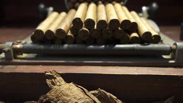 Dried tobacco leaves and stack hand rolled premium cuban cigars on a wooden table for making. The best cigars in the world