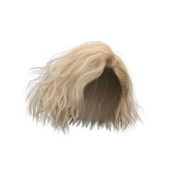 3d render illustration beauty short hair isolated blonde