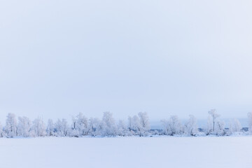 Minimalistic winterlandscape with snow and trees in Lapland, Finland