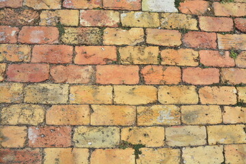 Weathered brick sidewalk