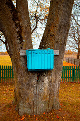 Blue mailboxes on a tree. In the village. High quality photo