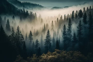 Photo sur Plexiglas Forêt dans le brouillard Forest landscape view from above, foggy forest