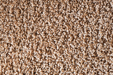 Brown carpet texture. Closeup fiber background. Soft plush fabric pattern. Furry rug background. Grainy noise design.