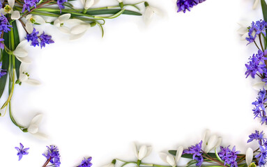 Spring decoration. Flowers white snowdrops, blue flowers scilla on a white background with space for text. Top view, flat lay