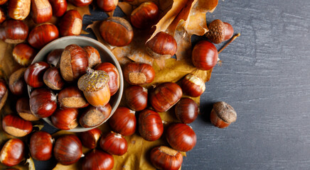 a chestnut harvest.