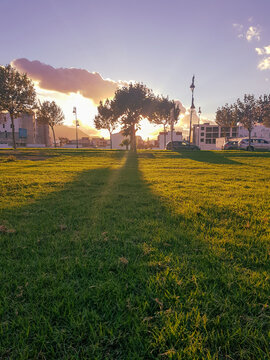 Green grass and sunsets a perfect combination for environmental health