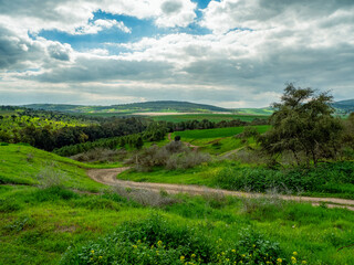 Fototapeta na wymiar A shoot of the view in Tabor creek, lower Galilee, Israel