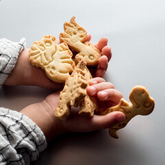 Children's hands hold cookies dinosaur shaped cookies. - 574032293