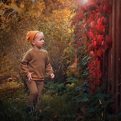 child in autumn forest