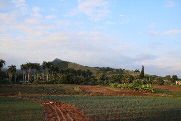 Valle de los Ingenios, Cuba Caribbean