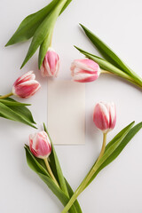 pink tulips and blank card
