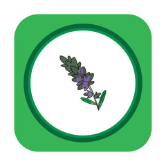 vegetable icon vector image with white background and green border