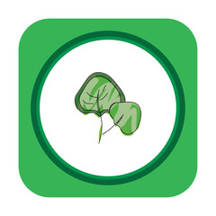 vegetable icon vector image with white background and green border