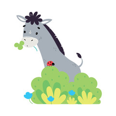 Cute donkey grazing in pasture. Adorable farm animal on nature cartoon vector illustration