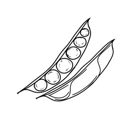 Peas, peas in a pod, freehand drawing, with a black outline, on a transparent background