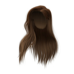 3d rendering straight hair isolated brown brunette