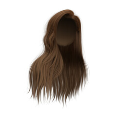 3d rendering straight hair isolated brown brunette