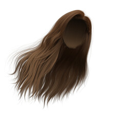 3d rendering straight hair isolated brown brunette