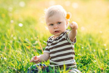 one year old blond girl in brown and white striped merino jersey sitting on green meadow full of yellow dandelions, toddler holding dandelion and showing it, happy child playing outside, it's spring