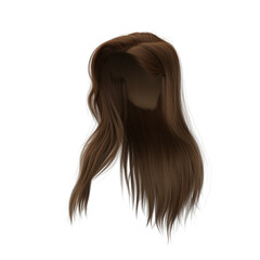 3d rendering straight hair isolated brown brunette