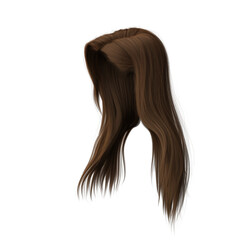 3d rendering straight hair isolated brown brunette