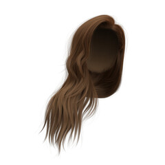 3d rendering straight hair isolated brown brunette