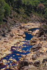 Landscape with the Tinto (red) river taht flows through pine forest and originates in the Riotinto mines. Huelva, Andalucia, Spain.