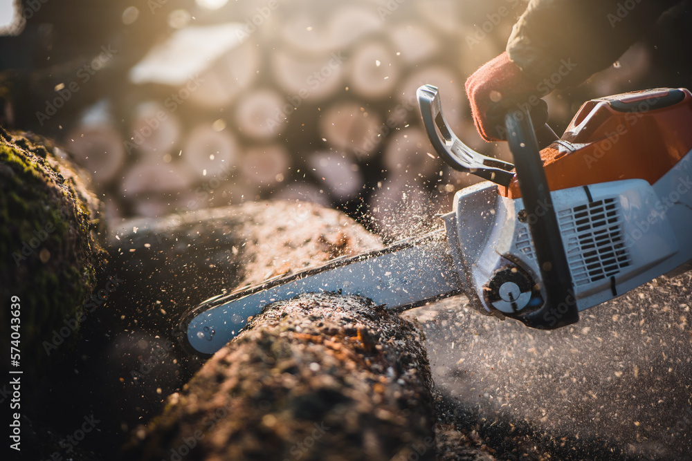 Wall mural cordless chainsaw. close-up of woodcutter sawing chain saw in motion, sawdust fly to sides. chainsaw