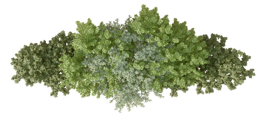 plan 2D view shrub composition Isolated on PNGs transparent background ,Use for visualization in graphic design