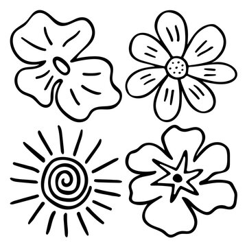 Sketch doodle outline flowers. Hand drawn drawing of plant buds during flowering. Petal silhouettes. Isolated vector. © Mar