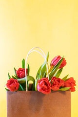 Bouquet of red tulips in paper bag on light yellow background with copy space for your design. Spring holidays greeting card. Easter or Mother’s day banner. FLowers delivery. Vertical image.