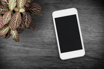 Fototapeta na wymiar New modern smartphone with a blank screen