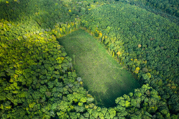 Fototapeta Deforestation's impact on global climate change top view obraz