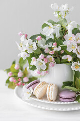 Beautiful composition with delicious French macarons and spring flowers in a white cup. Sweet dessert, early spring white and pink flowers, wedding decor, bride morning