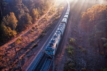 Morning Train Ride through Autumn Forest: Sunbeams and Mist