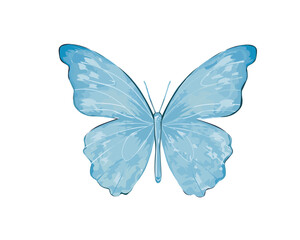 Image of blue butterfly hand drawn design vector printed on Printed Glass Coasters