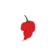 Carolina Reaper peppers. Vector illustration decorative design