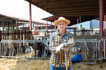 Positive american Male farmer in strow hat posing against background of cows in stall