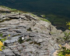 La Malbaie: a coastal paradise full of history and adventure