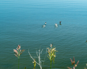 La Malbaie: a coastal paradise full of history and adventure
