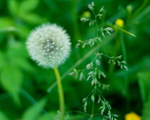 La Malbaie: a coastal paradise full of history and adventure