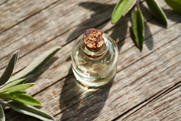 A bottle of sage essential oil with fresh sage
