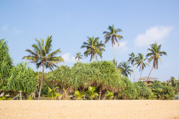 Beautiful view of the tropical beach of Sri Lanka on a sunny day