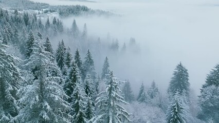 Winter view snow mountains sun morning landscape aerial - Powered by Adobe