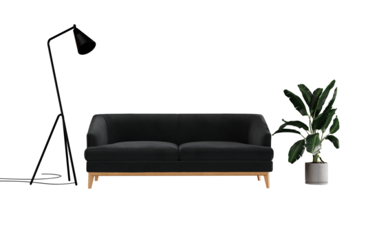 Sofa, plant and lamp on a transparent background. The concept of arranging an apartment, room, interior design.