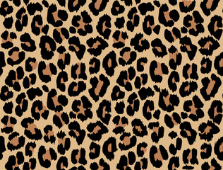 Leopard spots, wild cat fur pattern. Animal skin decorative background.