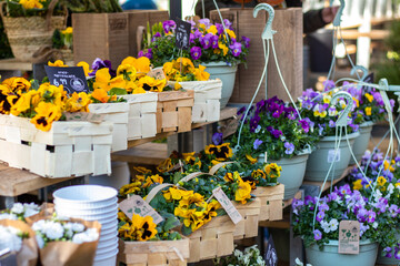 Flower business. Flowers are white in kraft paper standing on the counter. Words in German: decorative branches kittens