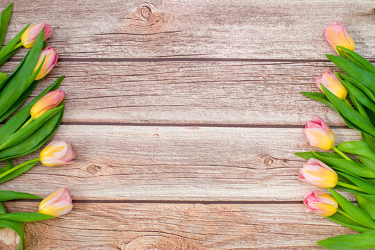 pnk tulips on wooden background with copy space