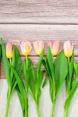 Bunch of fresh spring pink tulips on old vintage wooden board, copy space. Wooden background with pink tulips. Bouquet of tulips.
